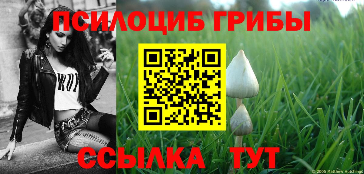 Конопля  Вейп ТГК  МДМА  Меф  Ишимбай  ГАШ  NBOMe  Вход с VPN  А ПВП СОЛЬ   ЭКСТАЗИ  Меф  