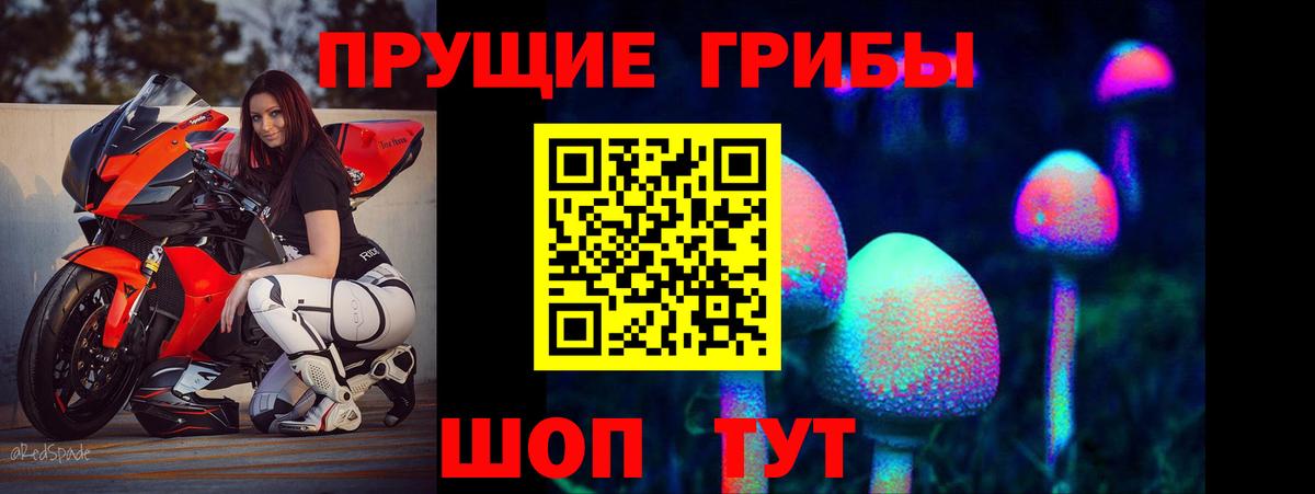 где найти   Галлюциногенные грибы мицелий  Вход с VPN  Ишимбай 